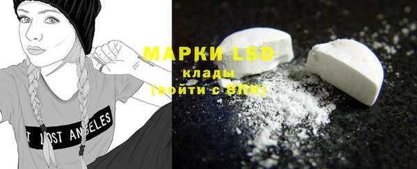 spice Ельня