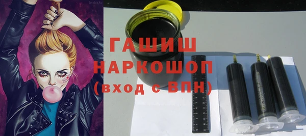 spice Ельня
