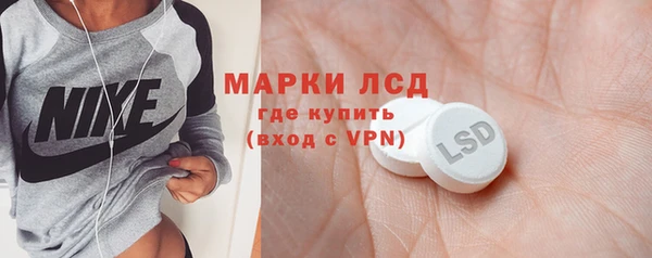 spice Ельня