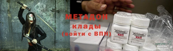 прущие грибы Тайга