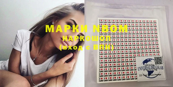spice Ельня