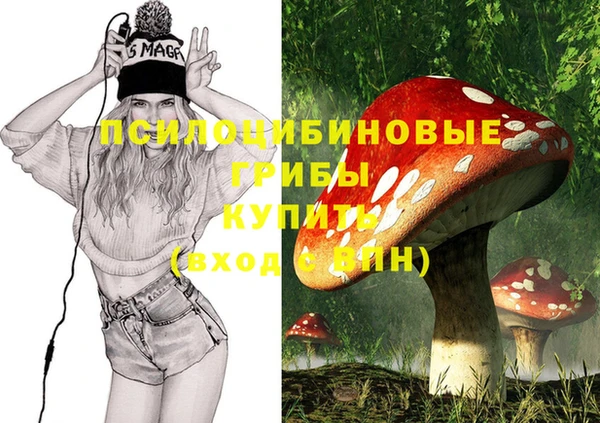 МДПВ Елабуга