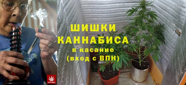 МДПВ Елабуга