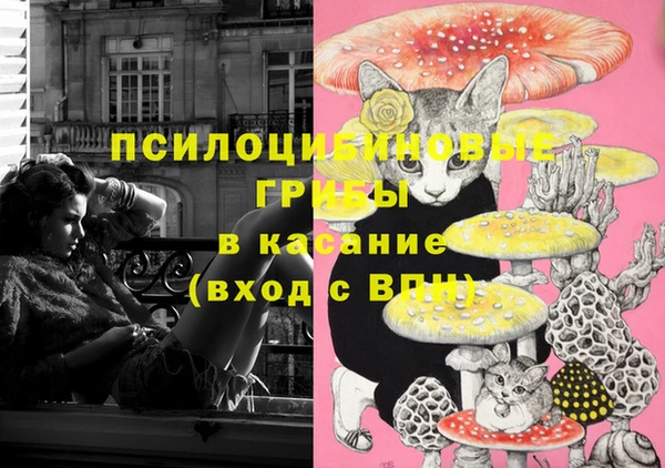меф Елизово