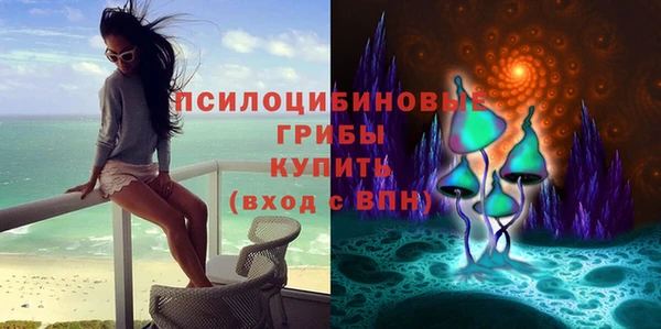 spice Ельня