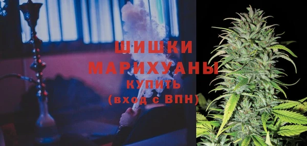 МДПВ Елабуга