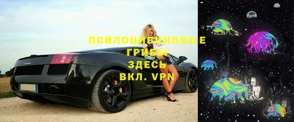 МДПВ Елабуга
