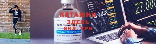 шишки Заводоуковск