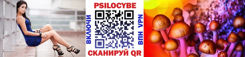 Псилоцибиновые грибы GOLDEN TEACHER  Купить  Чернушка 